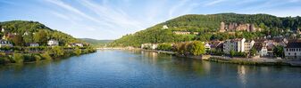 Flusskreuzfahrt Neckar