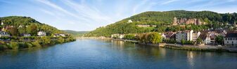 Flusskreuzfahrt Neckar